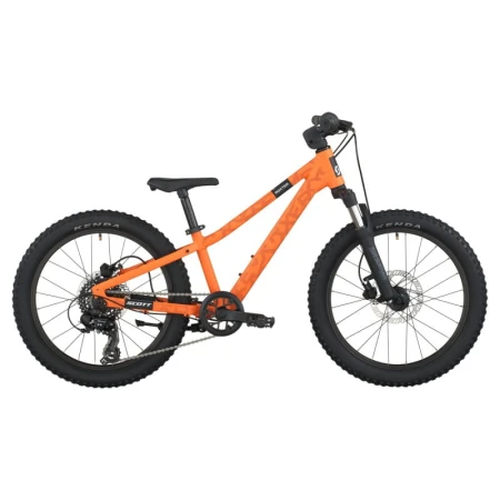roxter 200.jpg